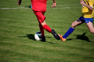 国际足球俱乐部青训论坛在广州召开，国际足联青训补偿标准