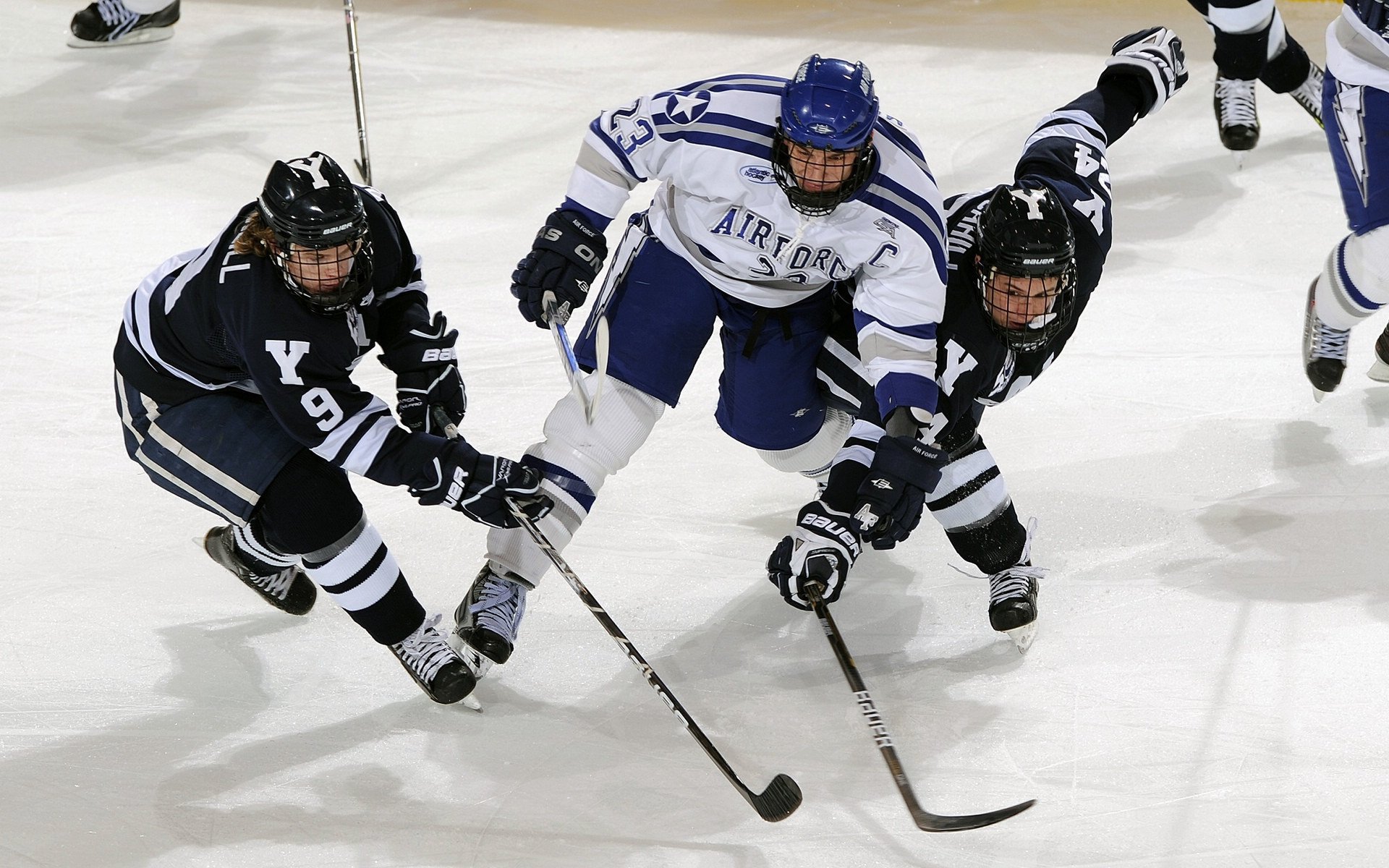 林丹称推广体育需从兴趣培养开始，林丹体育明星成长故事简介